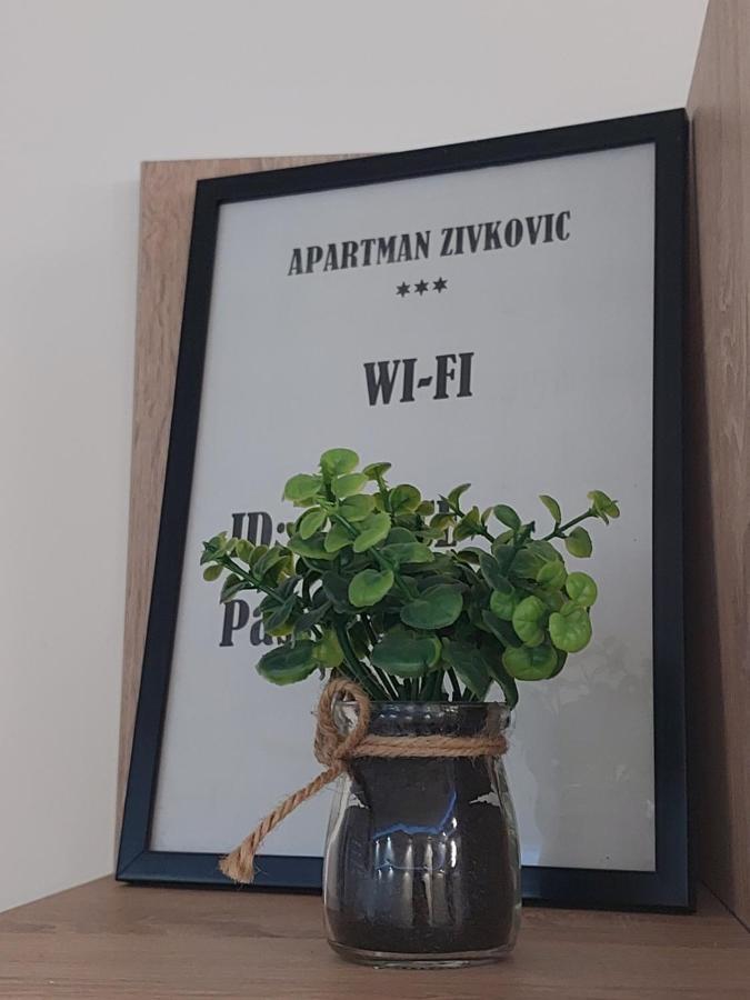 Apartman Zivkovic เลสโควัซ ภายนอก รูปภาพ