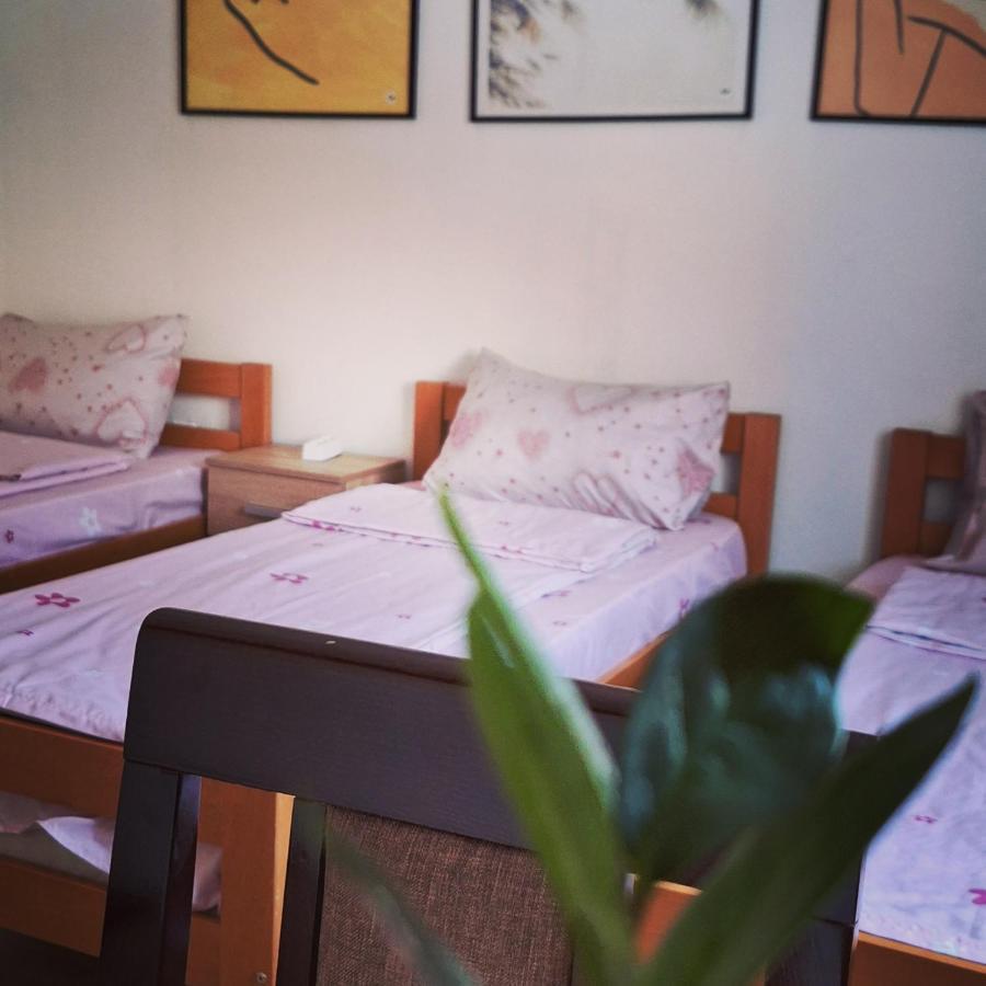 Apartman Zivkovic เลสโควัซ ภายนอก รูปภาพ